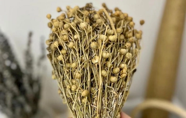 Dövlət Dəniz və Liman Agentliyi üzərliklə bağlı dənizçilərə xəbərdarlıq edib