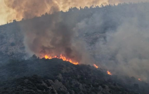 Türkiyənin Manisa bölgəsində meşə yanğını başlayıb