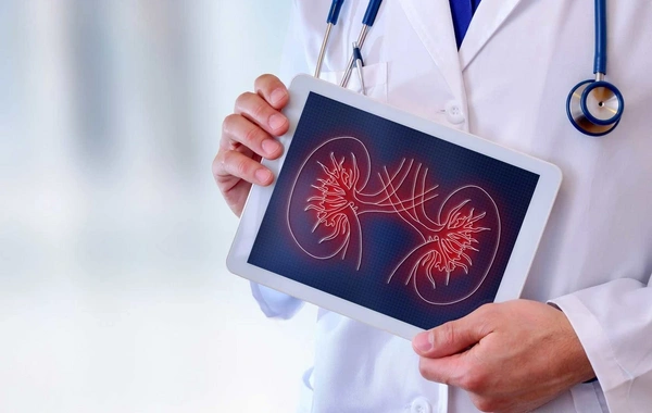 Ученые признали, что все это время ошибались насчет природы камней в почках