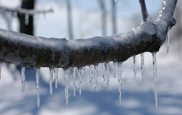 В Азербайджане зафиксировано до 9 градусов мороза - ФАКТИЧЕСКАЯ ПОГОДА