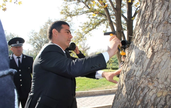 Naxçıvanda ağacların nömrələnməsinə başlanılıb