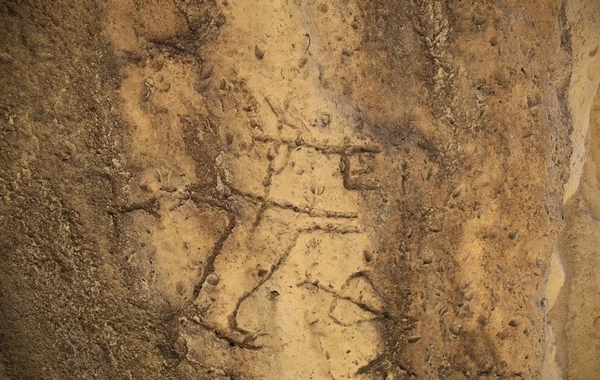 Qobustanda yeni qayaüstü təsvirlər aşkar olunub