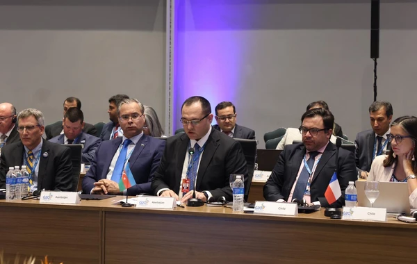 Məcnun Məmmədov G20 Kənd Təsərrüfatı Nazirlərinin Toplantısına qatılıb