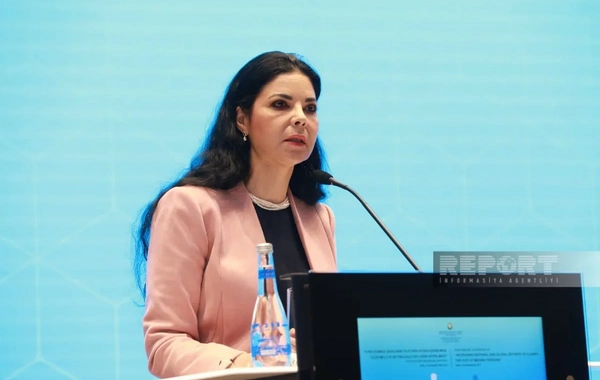 Ana Birçall İranın Azərbaycana hücumunu pisləyib