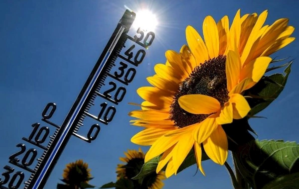 Mayda hava 35°-dək yüksələcək - AYLIQ PROQNOZ