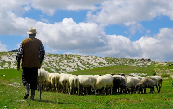 Azərbaycanlı çoban Ermənistan ərazisinə keçib
