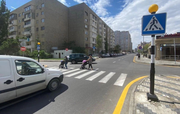 Тахир Рзаев: Один пешеход - не повод останавливать машину