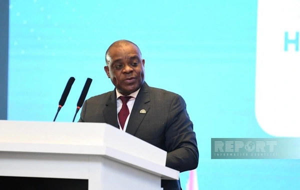 D-8-in Baş katibi: Azərbaycanın təcrübələrindən yararlanmaq bizim üçün çox önəmlidir