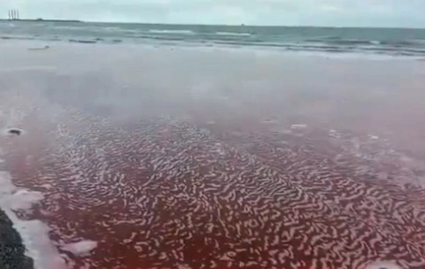 Xəzər dənizinin bir hissəsi NİYƏ QIRMIZI RƏNGƏ BOYANIB? - RƏSMİ AÇIQLAMA