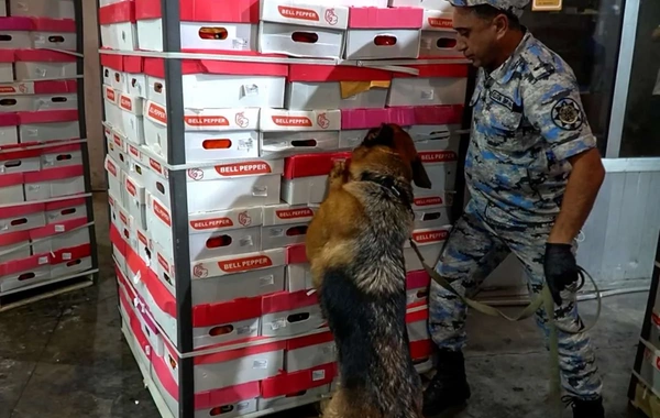 İrandan Rusiyaya 25 kiloqramdan çox marixuana keçirilməsinin qarşısı alınıb