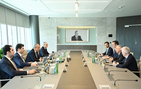 The Minister discussed cooperation prospects with the director of an Italian company