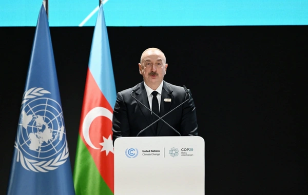 İlham Əliyev İnkişaf etməkdə olan Kiçik Ada Dövlətlərinin Sammitində çıxış edib