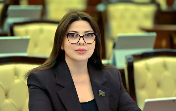 Avropa Parlamentinin Azərbaycana qarşı qəbul etdiyi qərəzli qətnamə gülünc doğurur