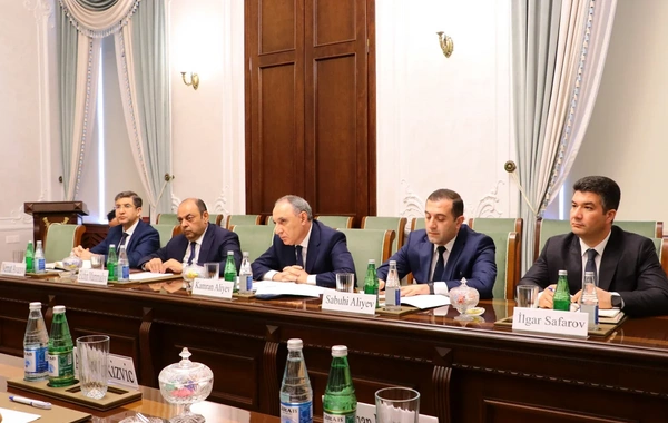 Kamran Əliyev İtkin düşmüş şəxslər üzrə Beynəlxalq Komissiyanın baş direktoru ilə görüşüb