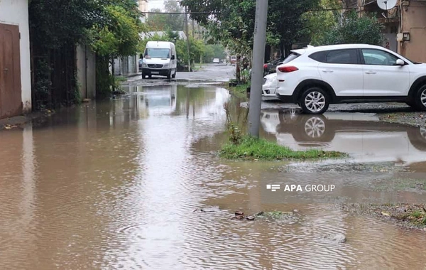 Lənkəranda sel suları həyətyanı sahələrə dolub