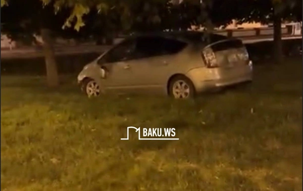 Yuxulu Prius sürücüsü avtomobilini Qış Parkına saldı