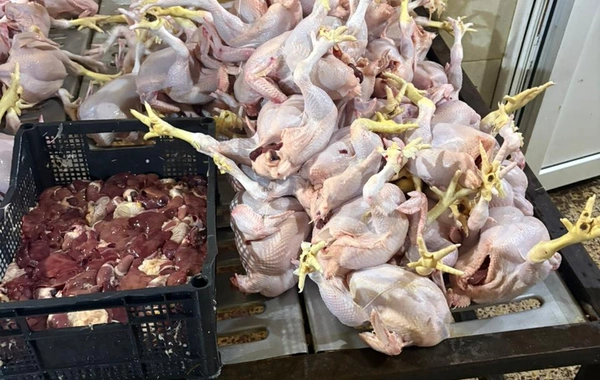 Lənkəranda toyuq kəsimi sexinin qanunsuz fəaliyyəti aşkarlandı