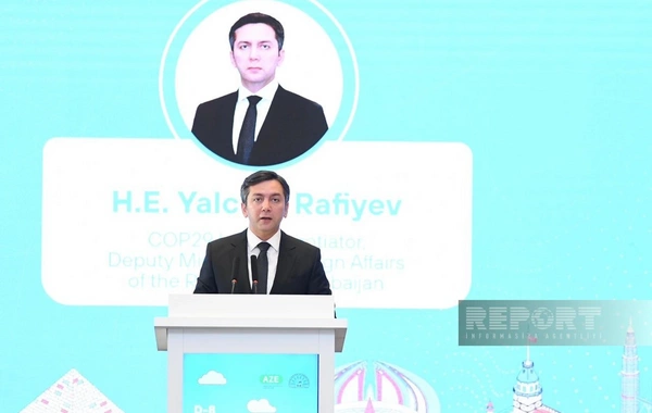 Bakıda D-8 ölkələrinin Gənclər Dialoqunun rəsmi açılış mərasimi keçirilib