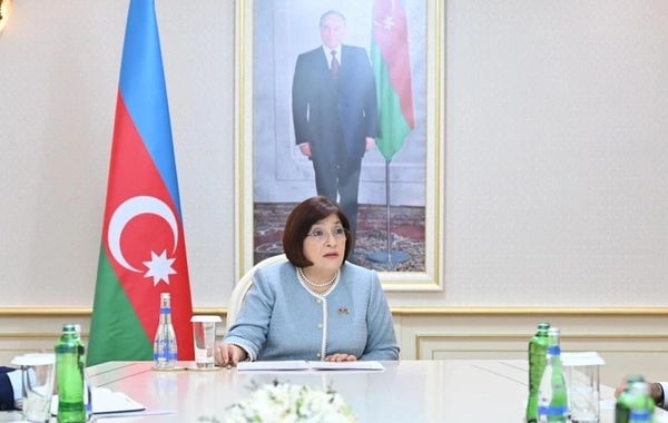 Sahibə Qafarova TÜRKPA-nın yeni baş katibini qəbul edib