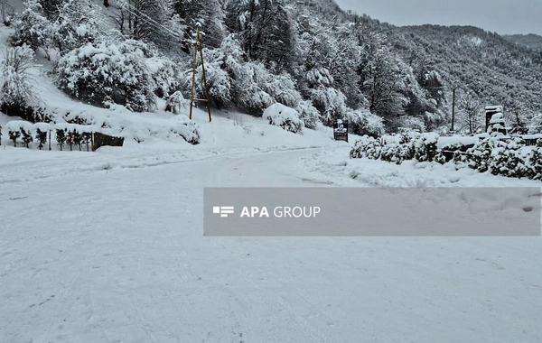 Güclü qar Qəbələnin dağlıq kəndlərinə gediş-gəlişi çətinləşdirib