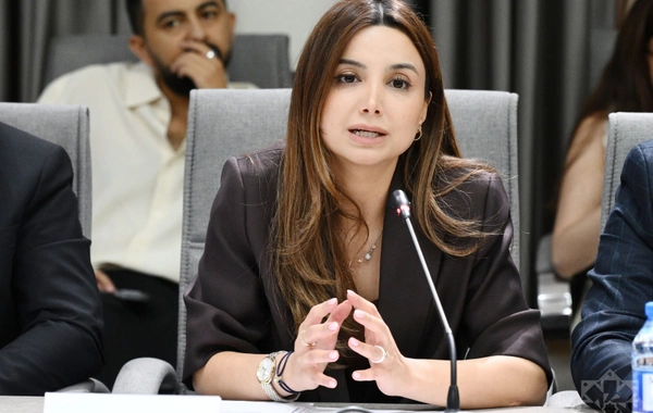 Uşaqların zərərli informasiyadan qorunmasına yönəlmiş normativ hüquqi akt layihəsi müzakirə olunub