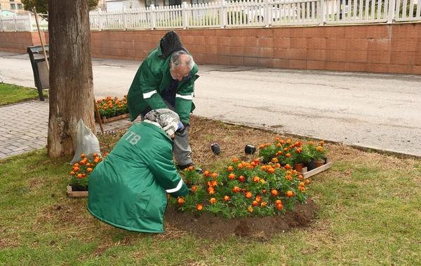 Güclü yağışdan sonra Bakıda genişmiqyaslı daxili iməcilik keçirilib