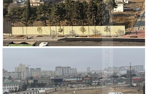 Bakının Ağ Şəhər ərazisində kütləvi ağac kəsimi: Saxlanılanlar var