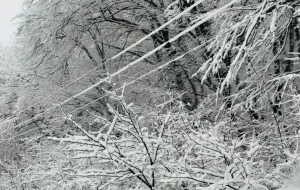 Bakı–Şamaxı–Yevlax yolu buz bağladı