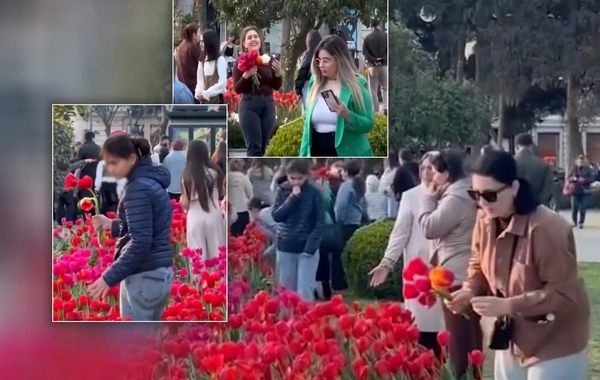Bakı Bulvarındakı əkilən gülləri qopararaq buket belə düzəldiblərmiş - YENİ VİDEO