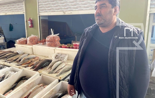 Ət əvəzinə hamı balıq alır - Bazarda SON QİYMƏTLƏR