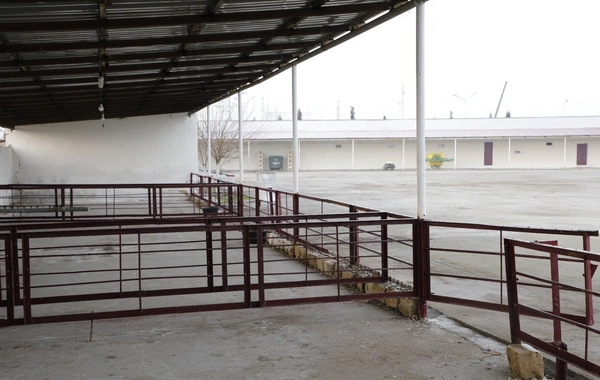 Salyan heyvan bazarı yenidən qurulub