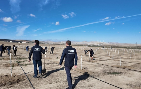 Nazirlik Zəfər Gününə həsr olunmuş ağacəkmə aksiyası keçirib Nazirlik Zəfər Gününə həsr olunmuş ağacəkmə aksiyası keçirib