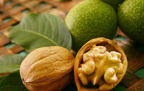Payızın "təbii dərmanı" sayılan təzə qozun faydaları - Gündə nə qədər yemək olar?