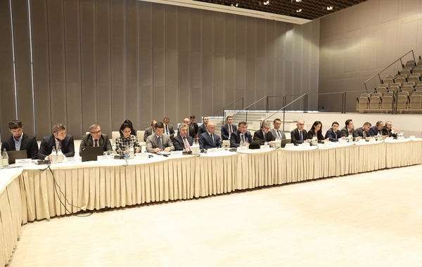 Azərbaycan və Almaniya birgə investisiya layihələrinin həyata keçirilməsi ilə bağlı razılığa gəliblər