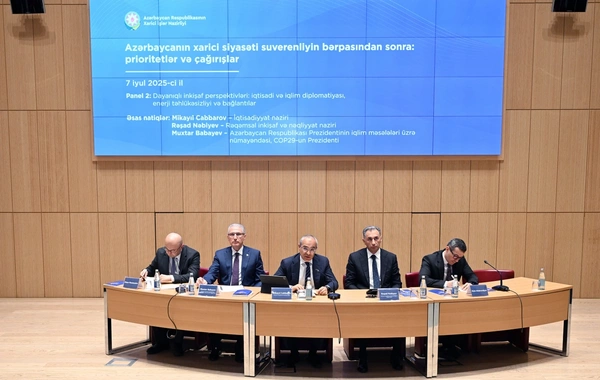Mikayıl Cabbarov dayanıqlı inkişaf perspektivləri ilə bağlı panel müzakirədə iştirak edib