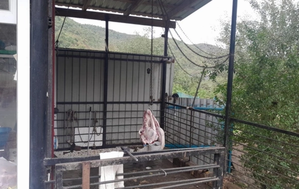 712 heyvan kəsimi və ət satışı mağazası cəzalandırılıb