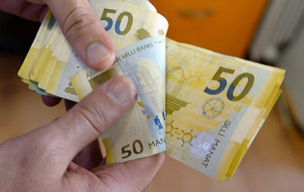 Bu il Azərbaycanda 306 vətəndaş aldadılıb