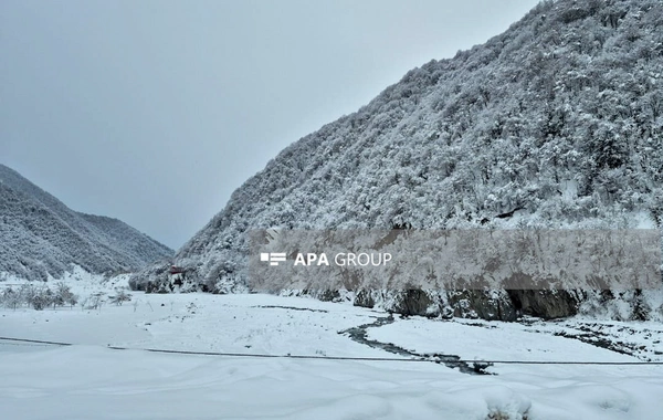 Güclü qar Qəbələnin dağlıq kəndlərinə gediş-gəlişi çətinləşdirib