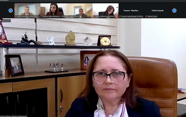 Azərbaycanda "Roblox" platformasının fəaliyyəti məhdudlaşdırıla bilər