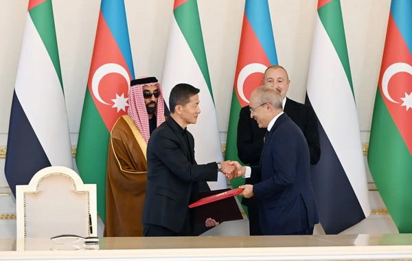 İlham Əliyev Birləşmiş Ərəb Əmirliklərinin milli təhlükəsizlik müşavirini qəbul edib
