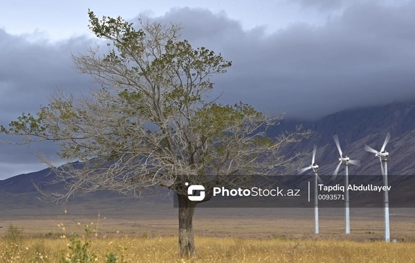 В Азербайджане объявлен повышенный уровень погодной опасности из-за ветра