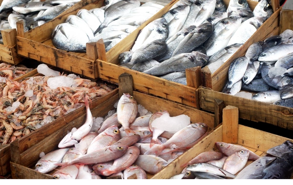 Marketlərdən balıq alarkən DİQQƏTLİ OLUN!