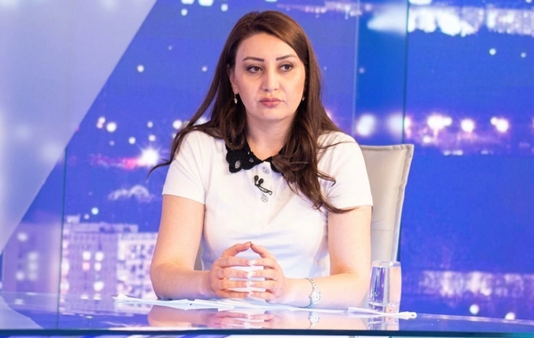 Ermənistan həm də terroru, separatizmi dövlət siyasəti səviyyəsinə gətirən bir dövlət kimi tarixə keçib