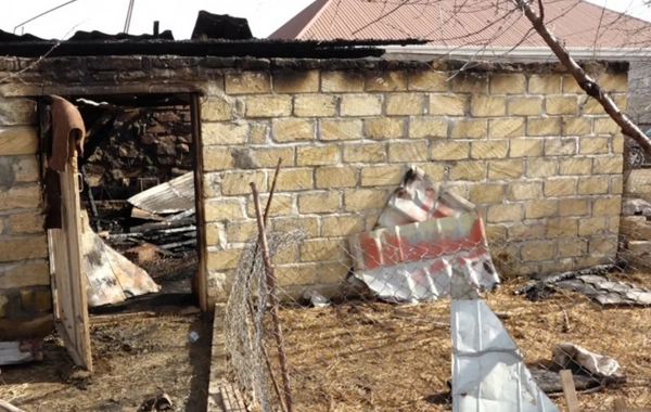 Elektrik naqilləri ailənin gəlir mənbəyini külə çevirdi: Gəncədə bədbəxt hadisə