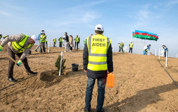 "SOCAR Midstream" ağacəkmə aksiyası keçirib