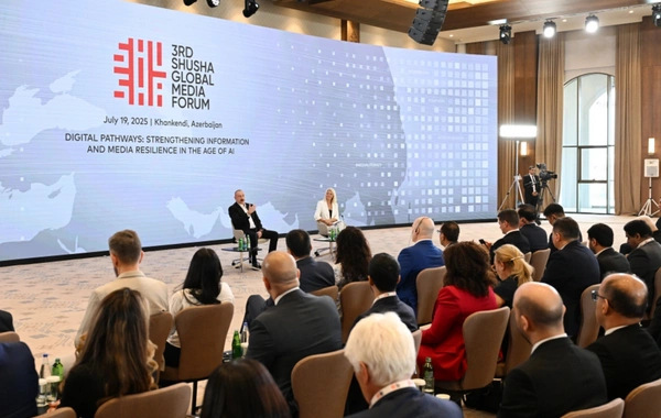 President Ilham Aliyev: I do not use artificial intelligence