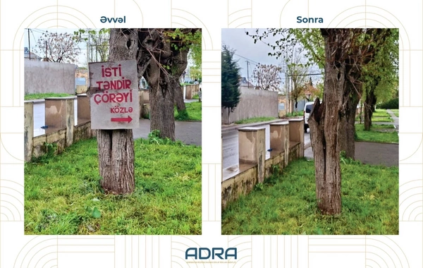 Ağaclara qanunsuz yerləşdirilən 267 reklam qurğusu söküldü
