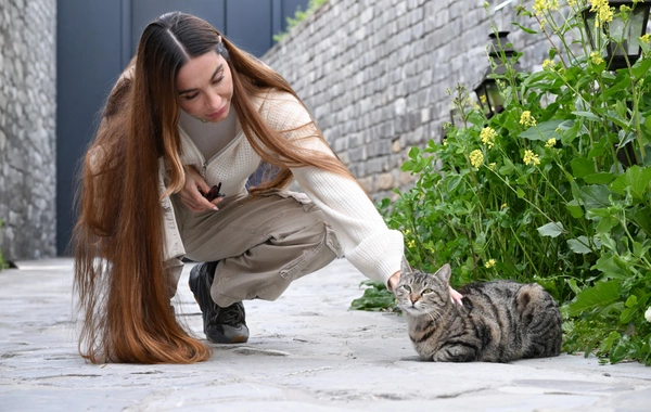 Leyla Əliyeva və Arzu Əliyeva Şəkidə tarixi-memarlıq abidələrinin bərpadan sonra açılışında iştirak ediblər