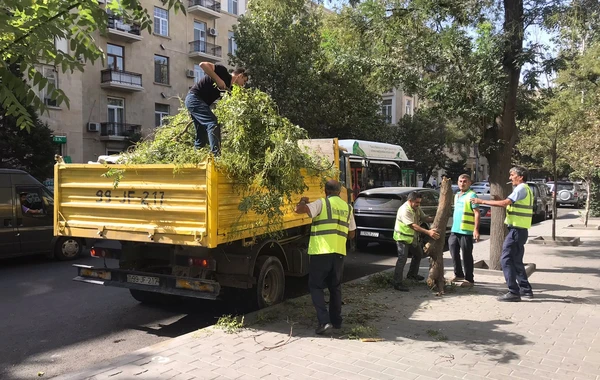 В центре Баку устранили опасную ситуацию
