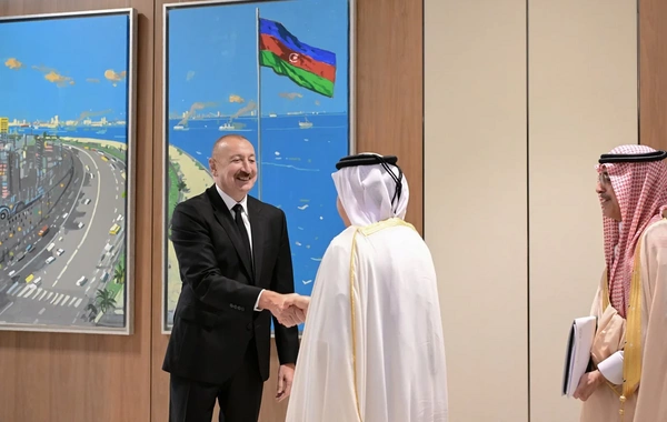 Prezident Ərəb Koordinasiya Qrupuna üzv qurumların rəhbər şəxslərini qəbul edib